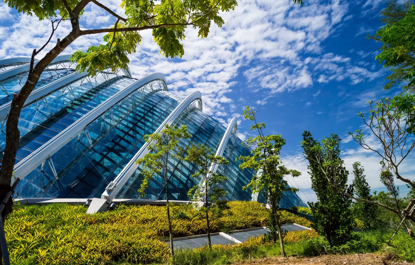 Photo wallpaper greens, the sky, grass, the sun, clouds, trees, design, design