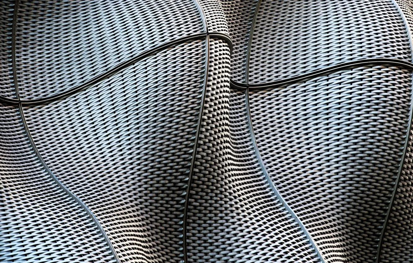 Photo wallpaper curves, form, fiber