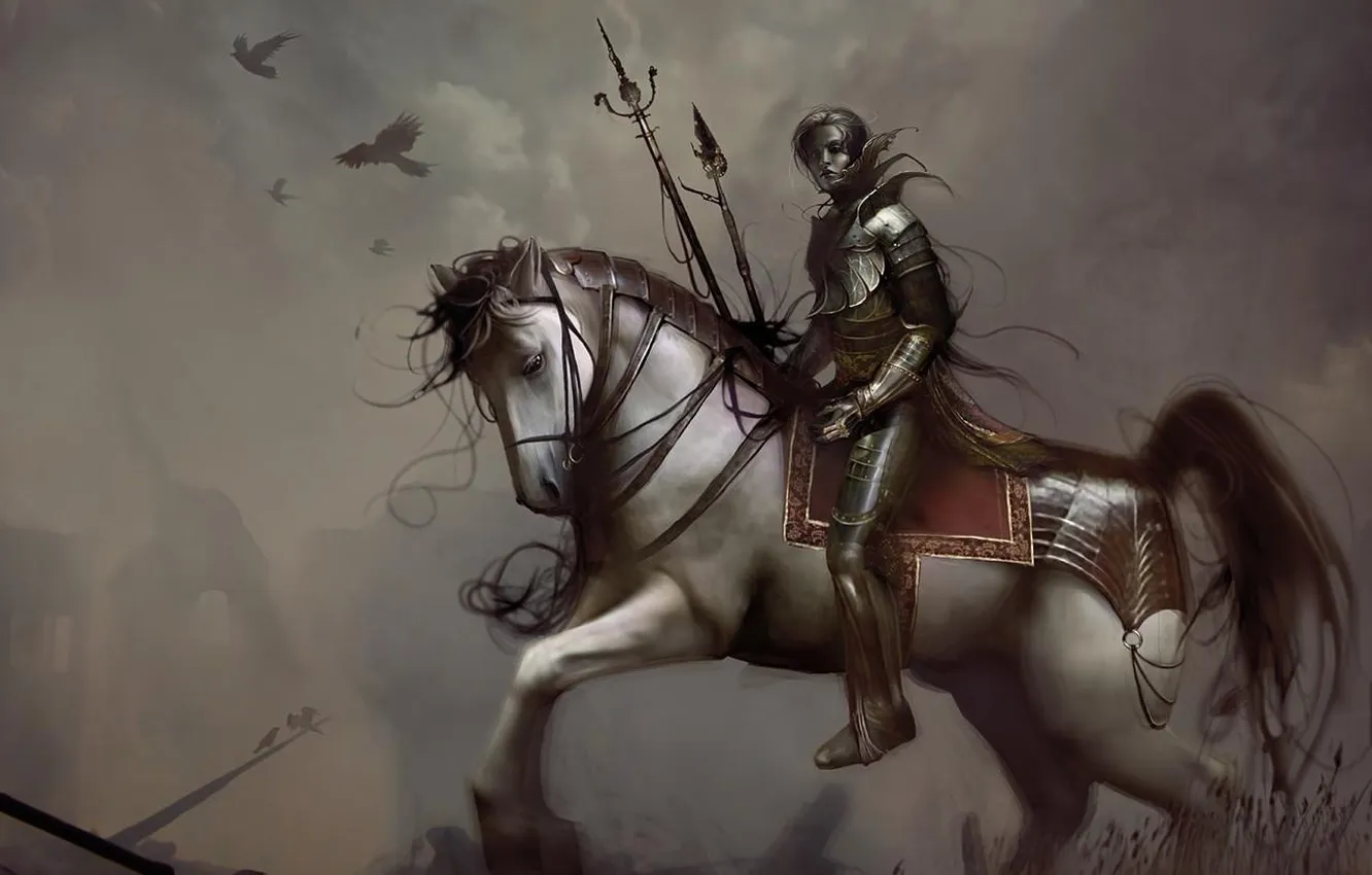 Photo wallpaper horse, armor, rider, Cuirass