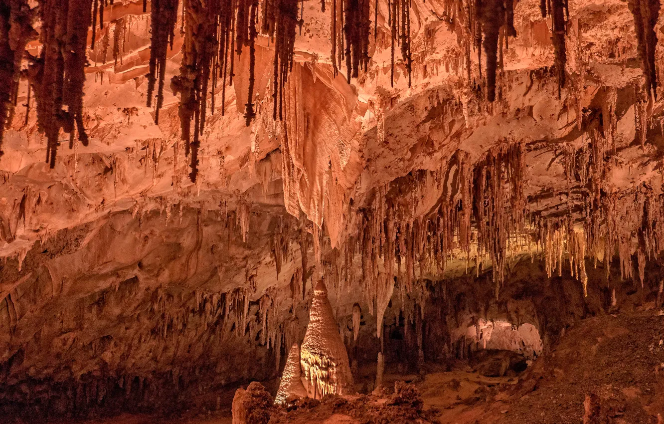Photo wallpaper cave, USA, New Mexico, the grotto, stalagmites, Carlsbad Caverns National Park, talkcity