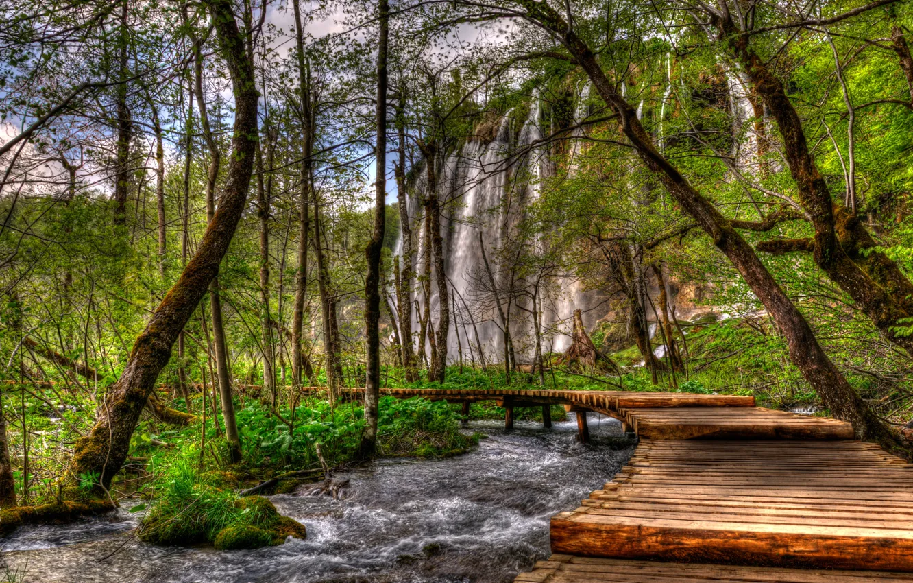 Photo wallpaper greens, forest, trees, stream, rocks, waterfall, HDR, the bushes