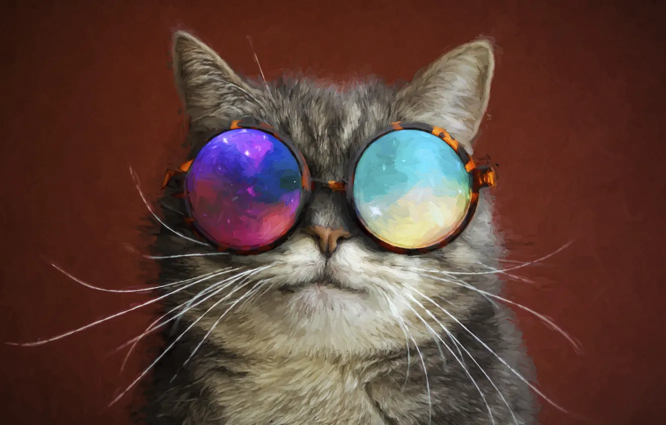 Photo wallpaper cat, mustache, glasses