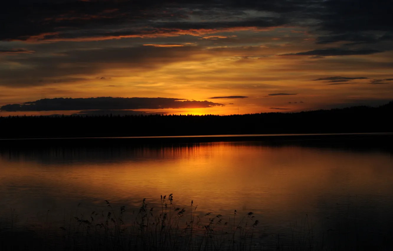 Photo wallpaper forest, sunset, lake, twilight