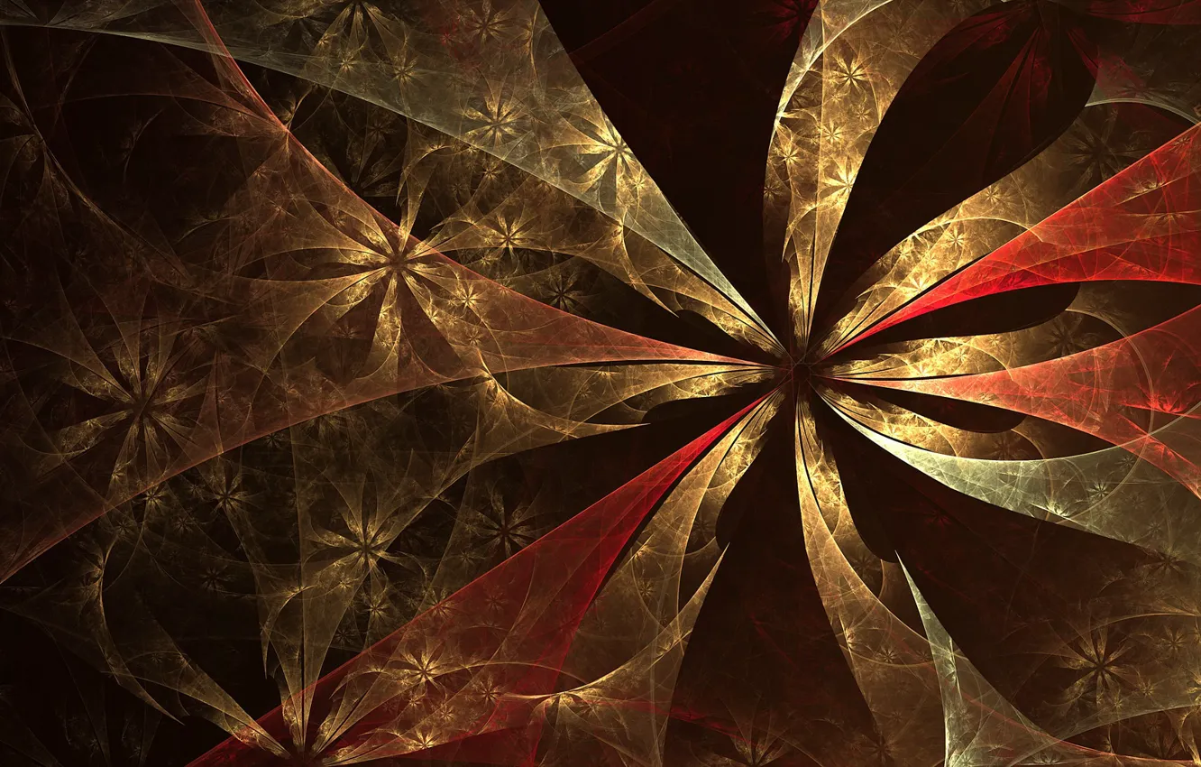 Photo wallpaper flowers, pattern, brown