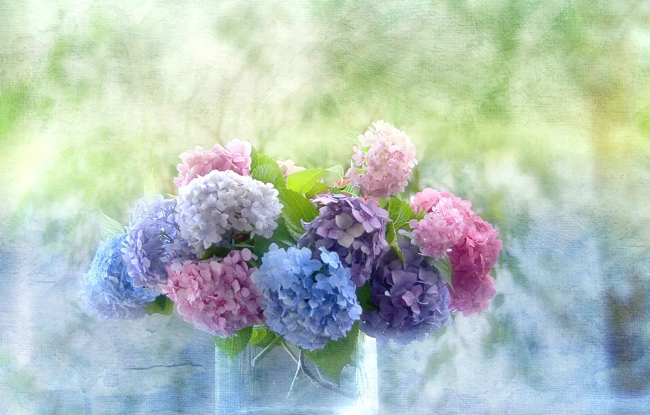 Photo wallpaper background, bouquet, texture, vase, hydrangeas
