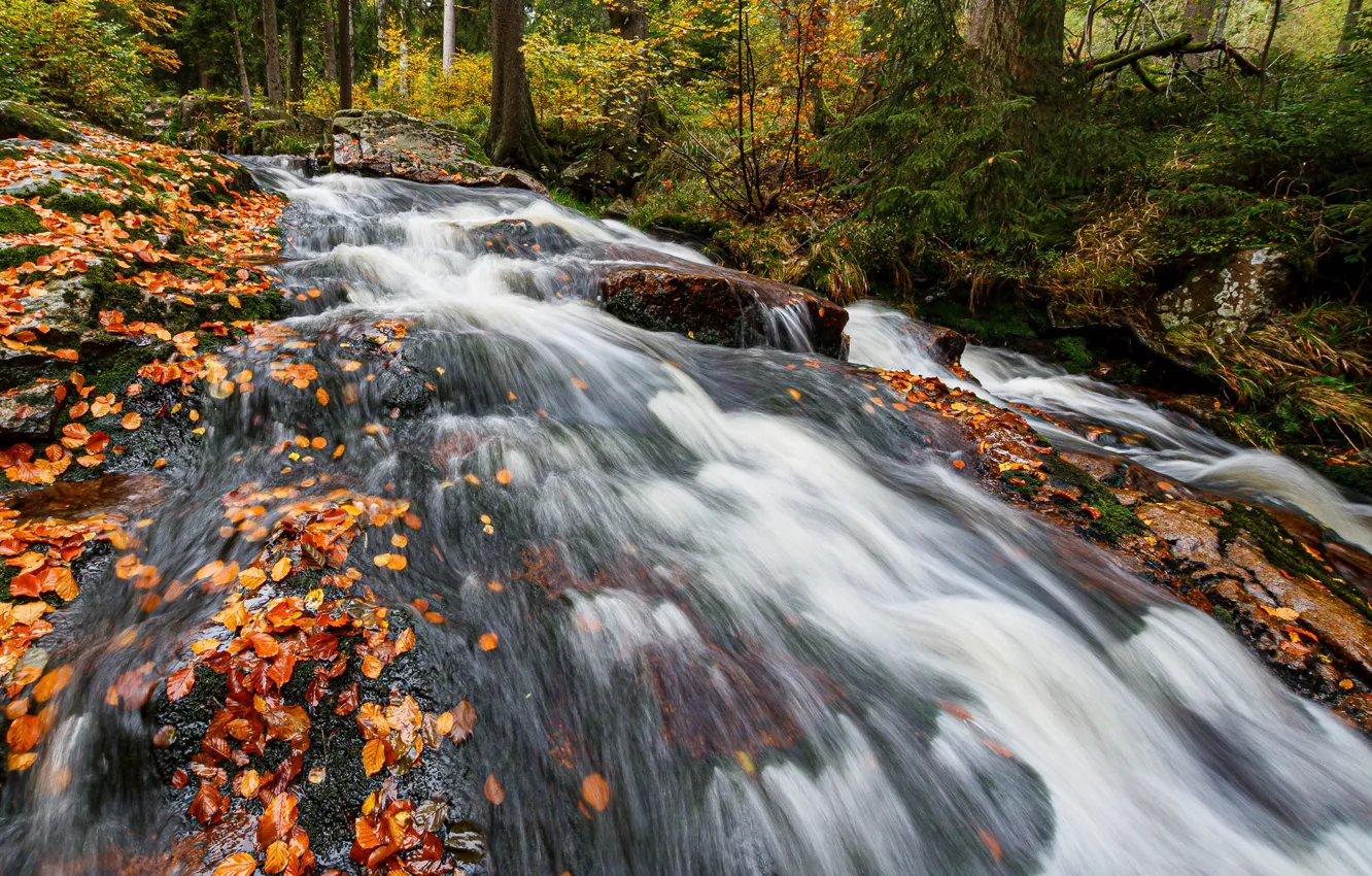 Photo wallpaper autumn, waterfall, stream