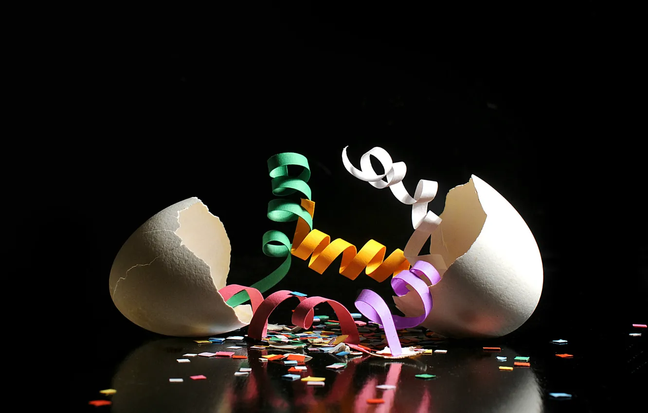 Photo wallpaper tape, shell, egg