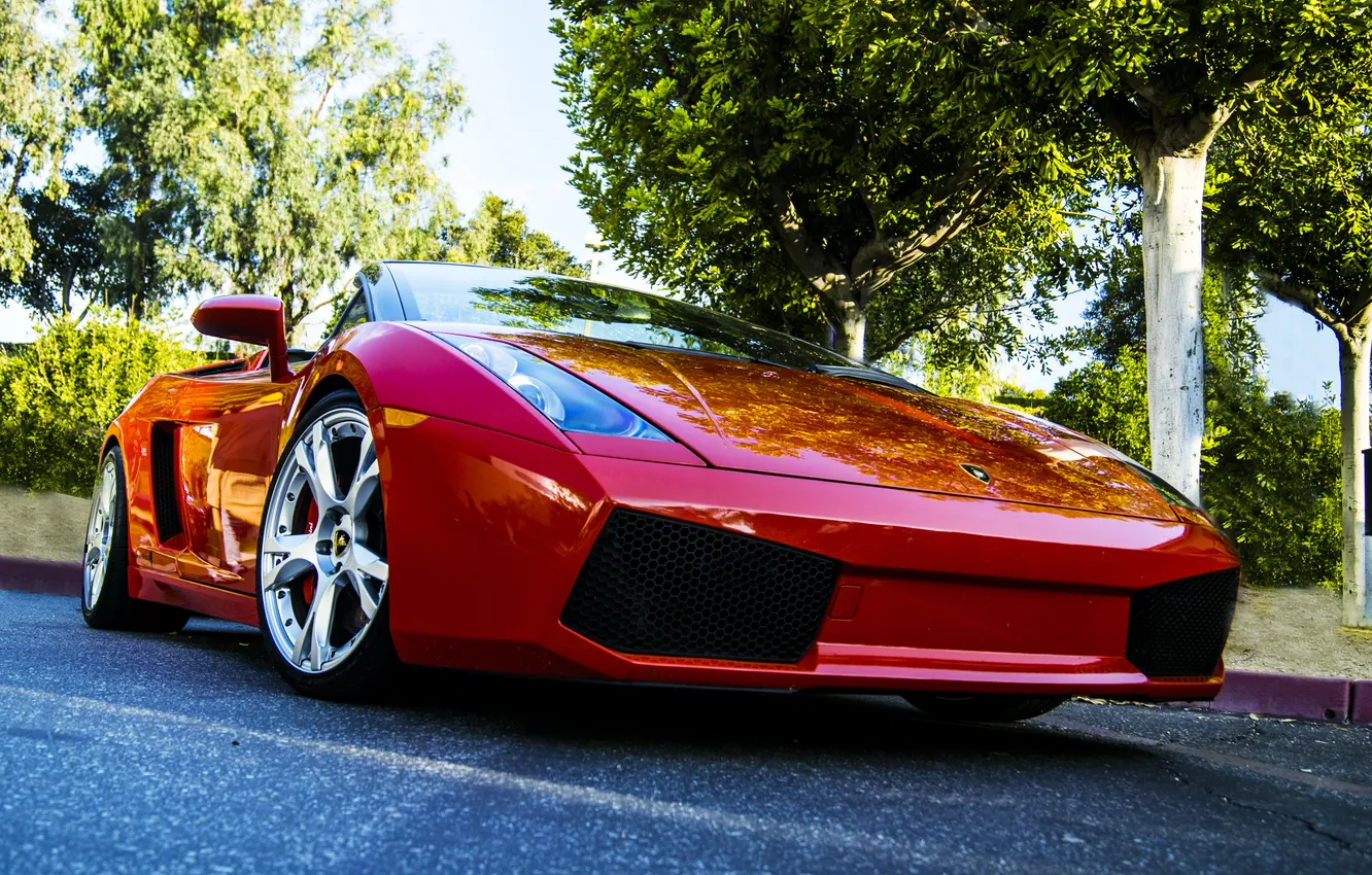 Photo wallpaper trees, red, Lamborghini, red, Gallardo, convertible, front view, Lamborghini