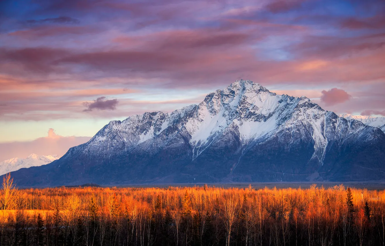 Photo wallpaper snow, mountains, lighting, trees, autumn, forest