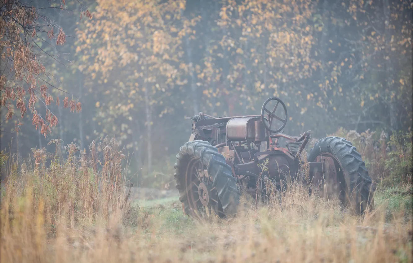 Photo wallpaper autumn, nature, fog, tractor