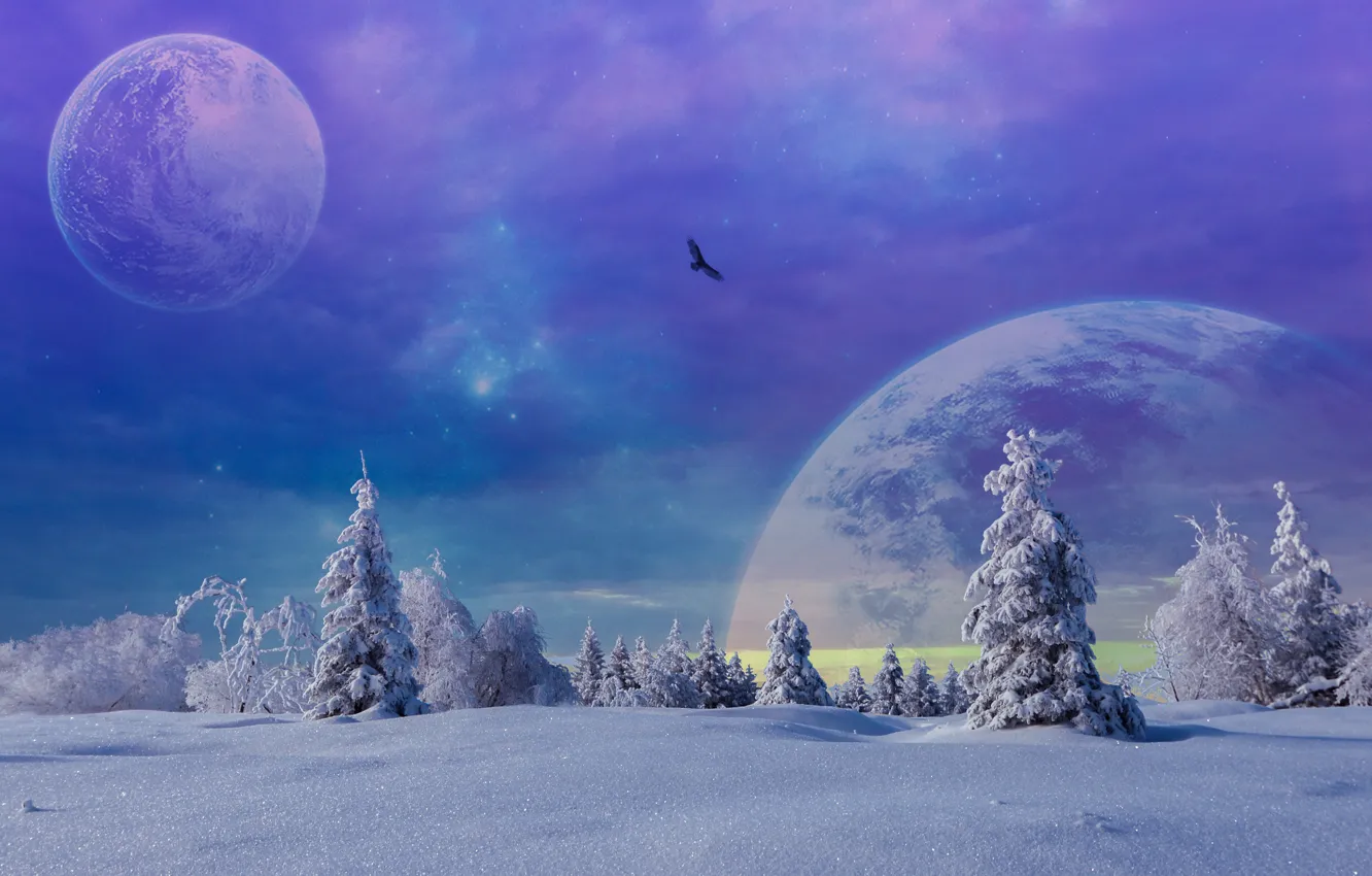 Photo wallpaper Winter, Trees, Snow, Planet, Fiction