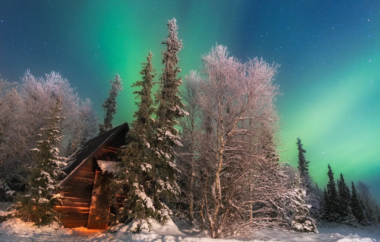 Photo wallpaper snow, trees, house, Winter, Northern lights, North