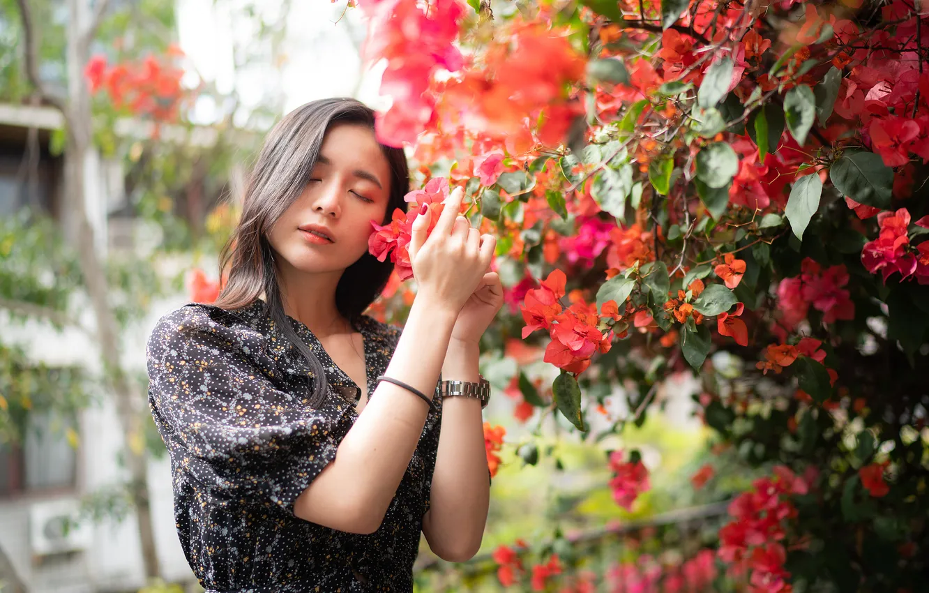 Photo wallpaper girl, branches, Asian