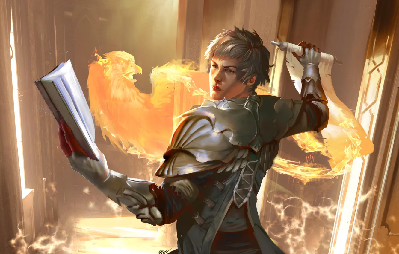 Photo wallpaper lights, magic, MAG, book, male, Phoenix, scroll