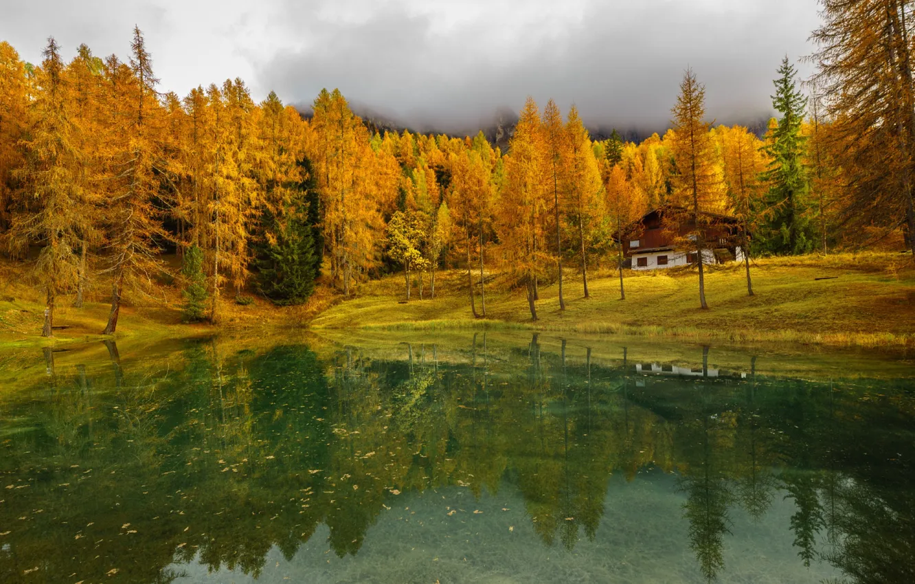 Photo wallpaper autumn, forest, pond, house, pond