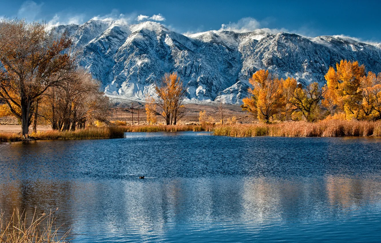 Photo wallpaper autumn, forest, snow, mountains, lake