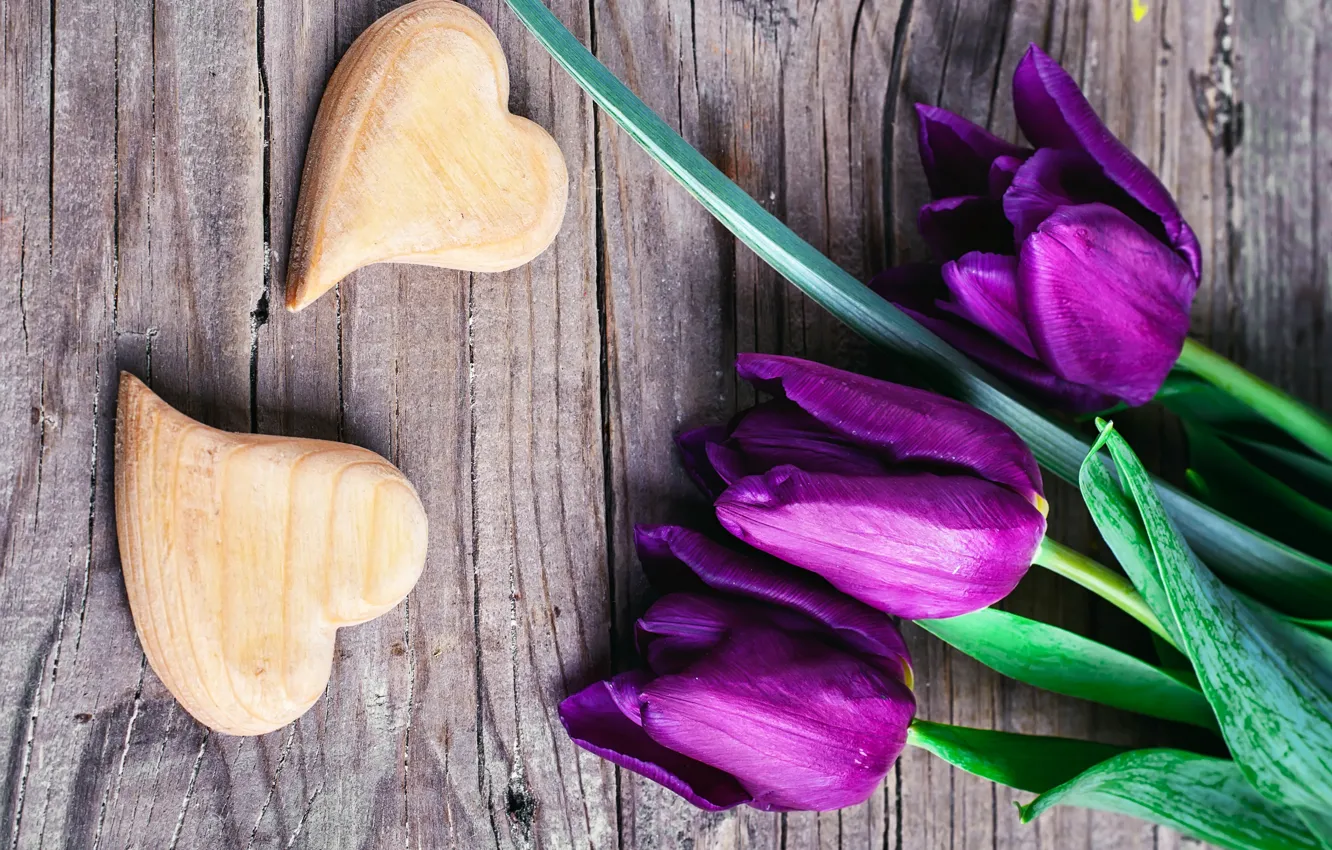 Photo wallpaper purple, love, heart, tulips, love, with, flowers, romantic
