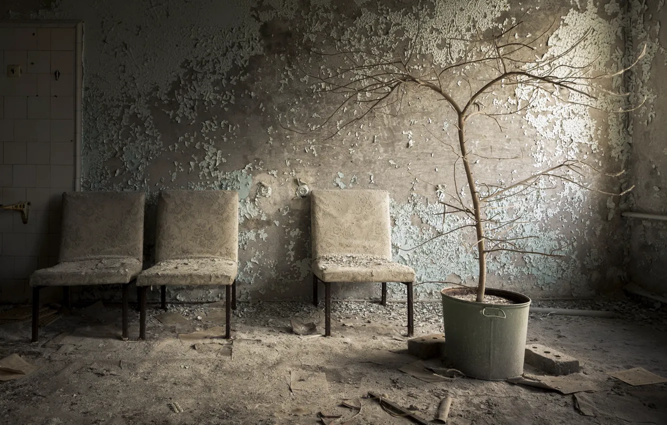 Photo wallpaper room, chair, pot