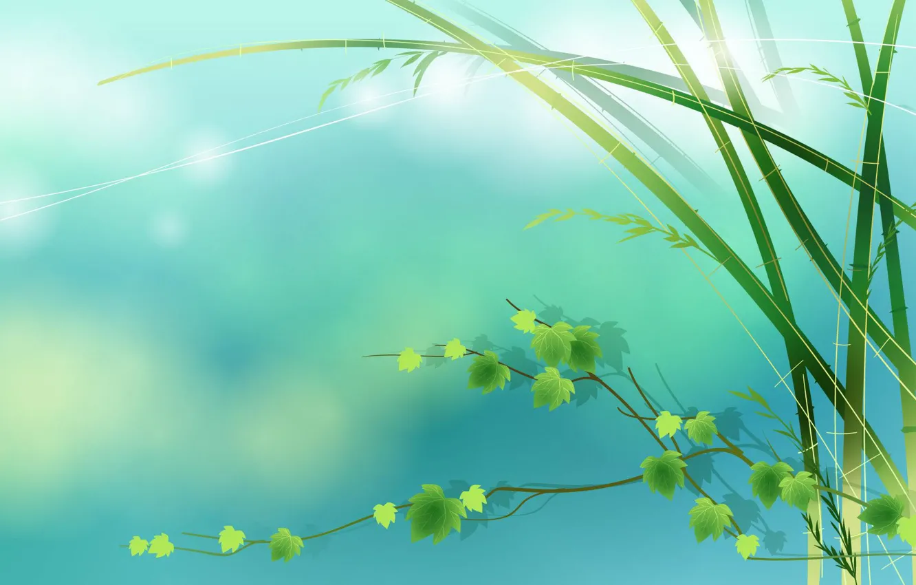 Photo wallpaper the wind, spring, leaves