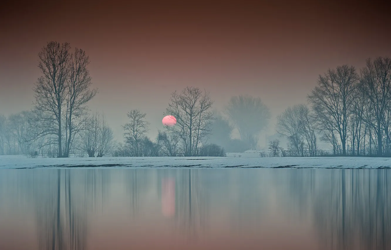 Photo wallpaper winter, trees, lake, sunrise, dawn, morning
