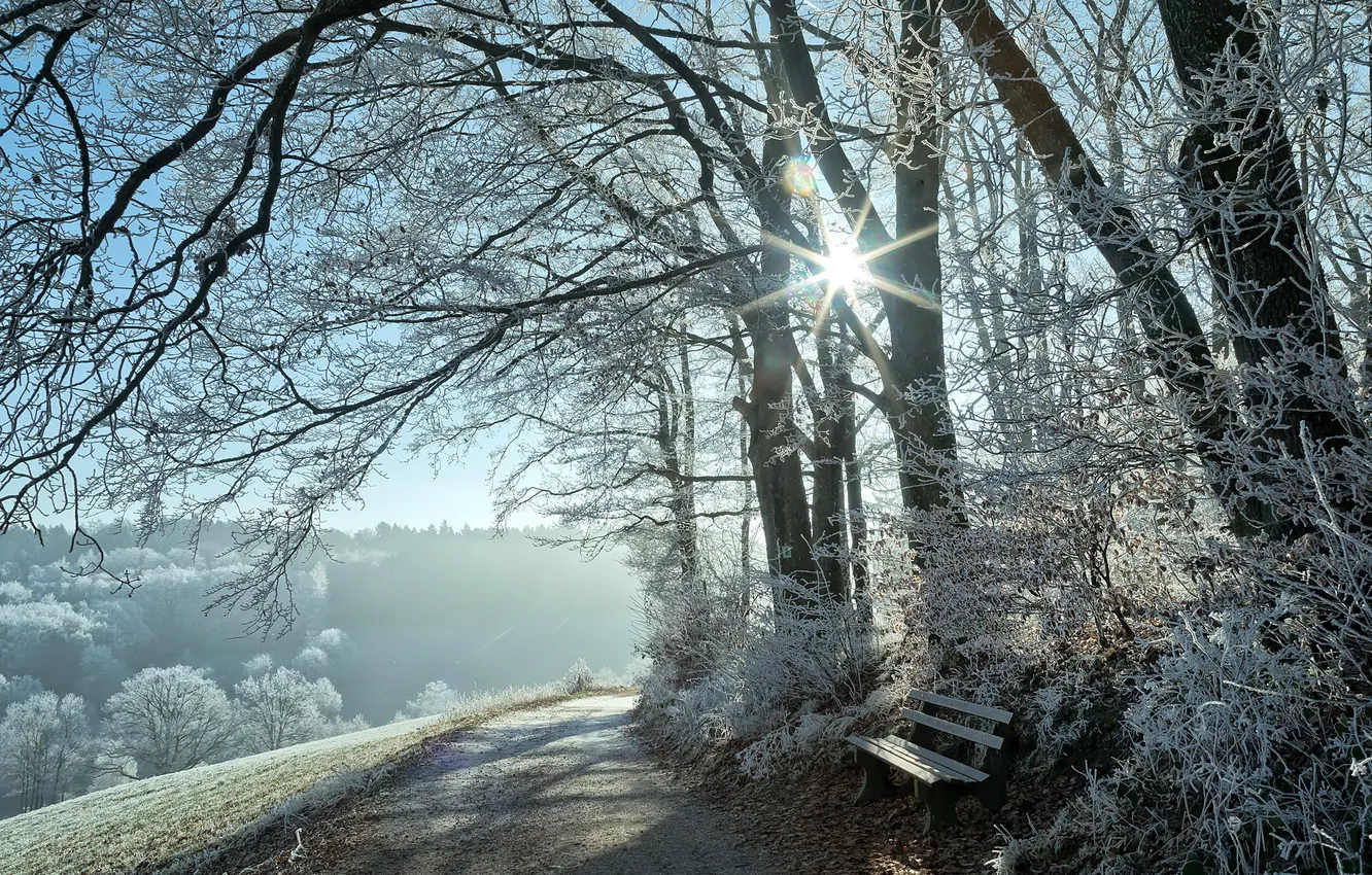 Photo wallpaper winter, morning, bench