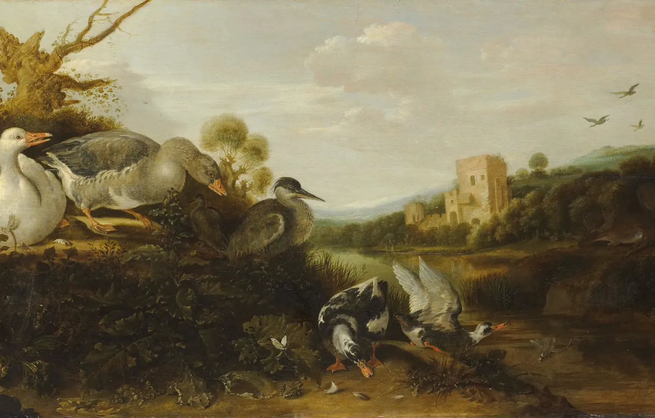 Photo wallpaper animal, picture, Gijsbert Gillisz. the Hondecoeter, Waterfowl