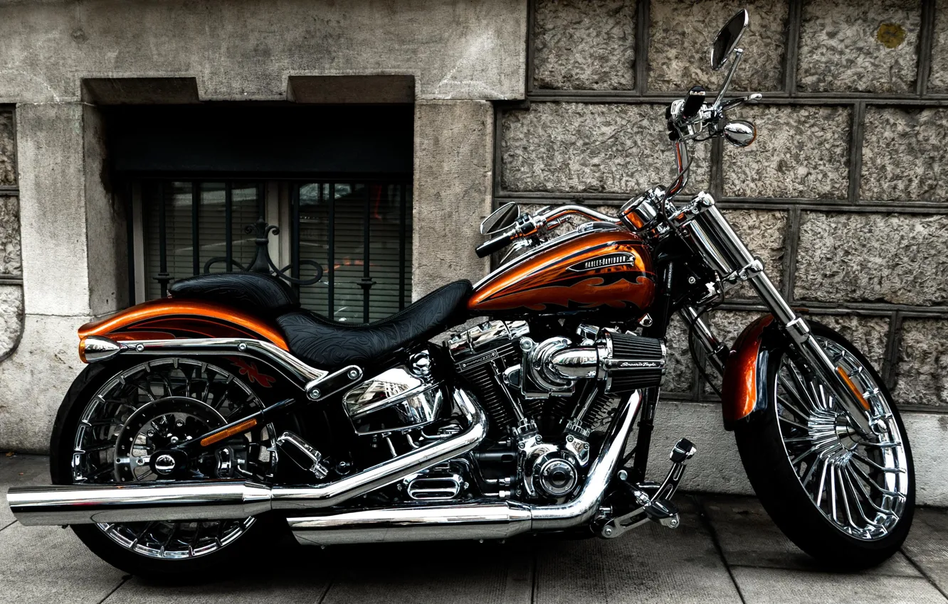 Photo wallpaper Harley Davidson, Custom, Motorcycle