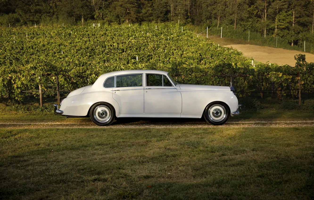 Photo wallpaper Rolls-Royce, 1961, side view, Ringbrothers, Silver Cloud, Rolls-Royce Silver Cloud II, Rolls-Royce Silver Cloud II …