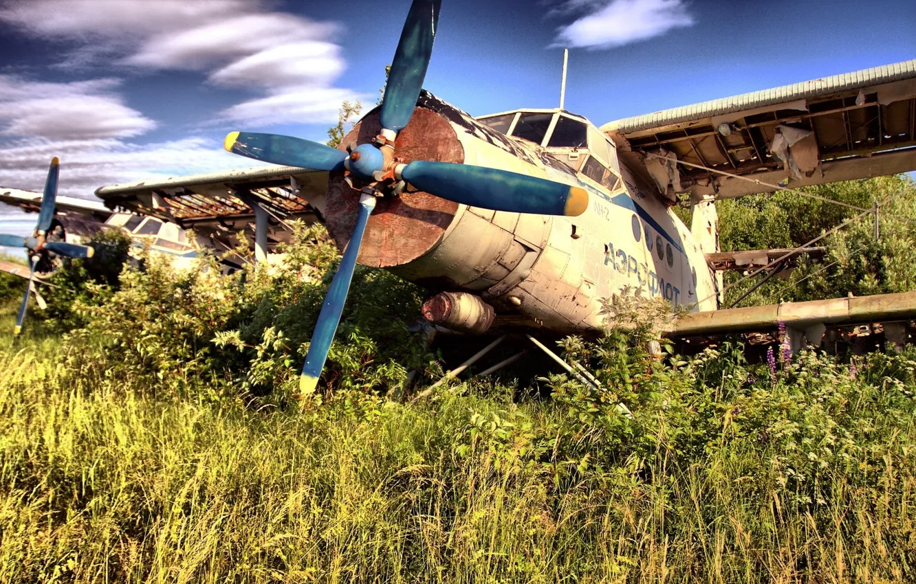Photo wallpaper WINGS, The PLANE, SCREW, MAIZE, The WRECKAGE