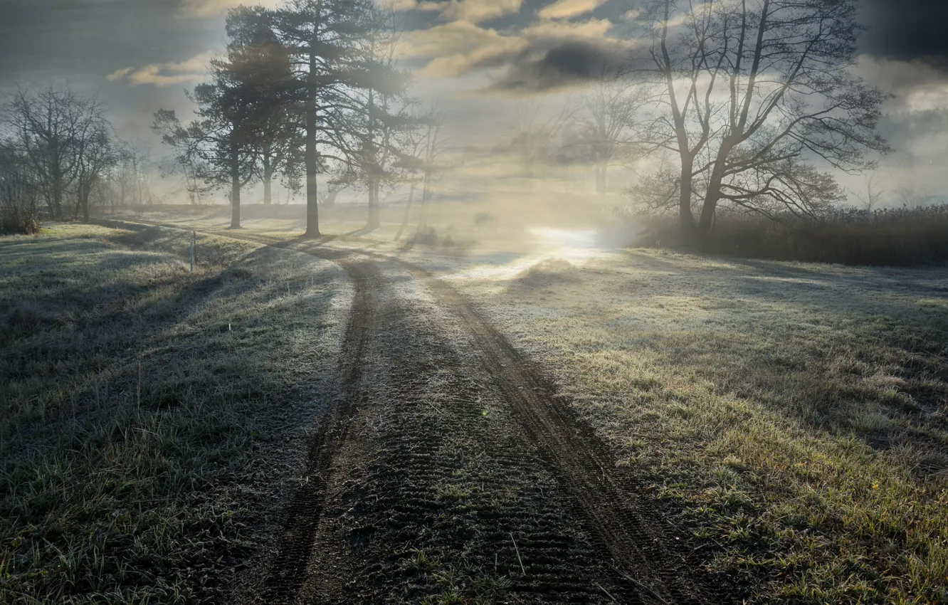 Photo wallpaper road, light, fog, morning