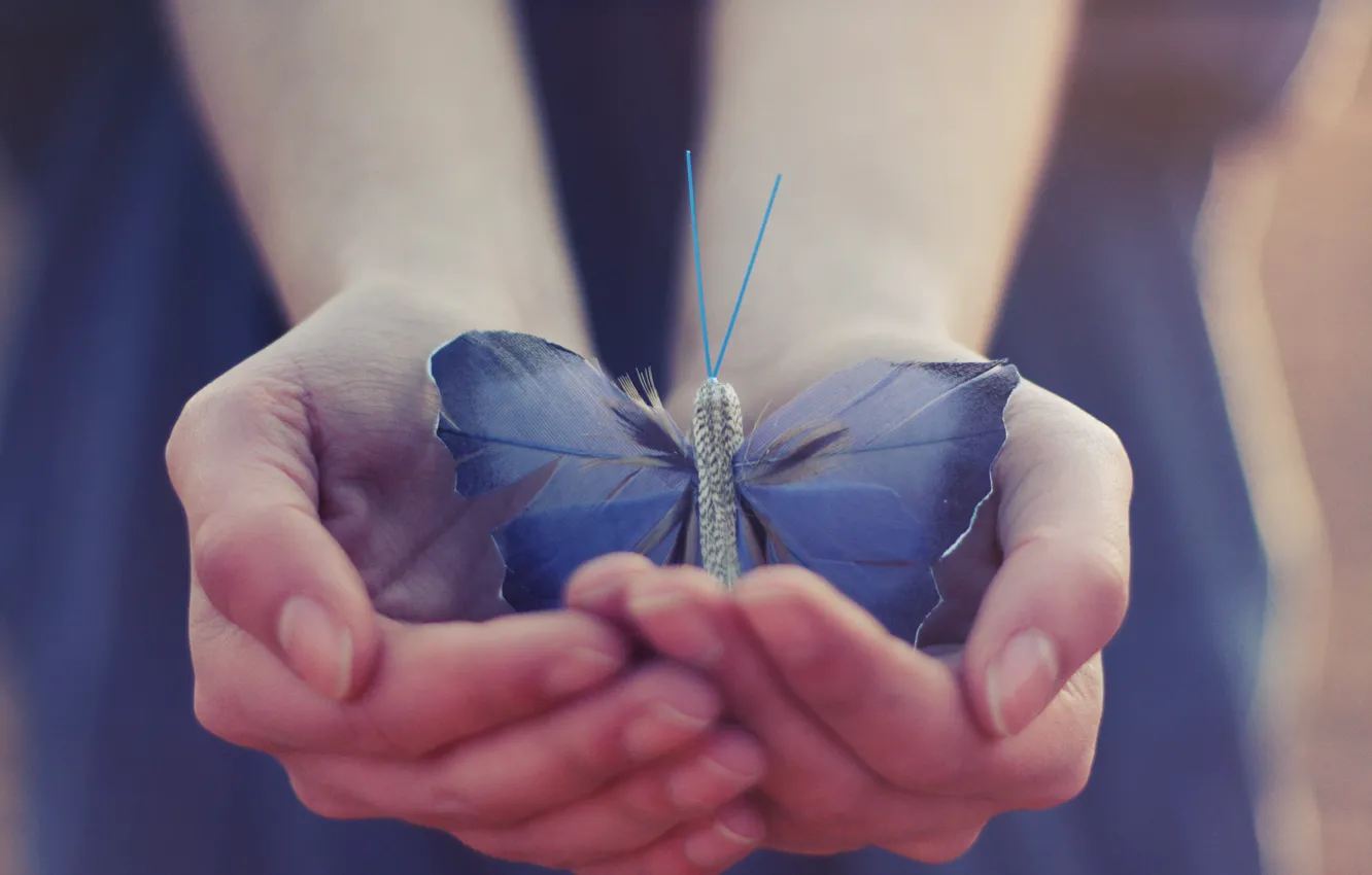 Photo wallpaper butterfly, wings, hands