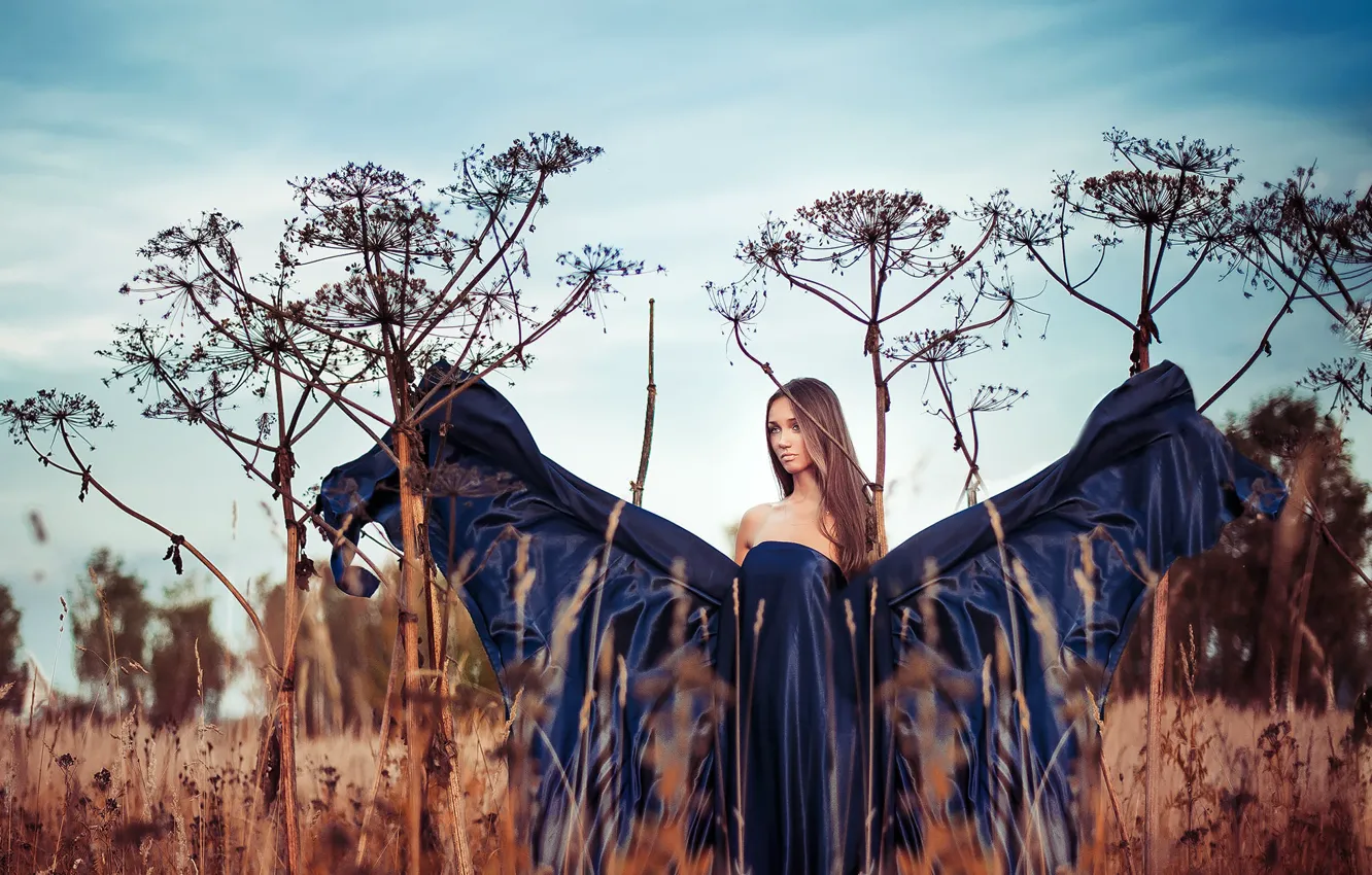 Photo wallpaper sadness, field, autumn, the sky, girl, pose, butterfly, wings