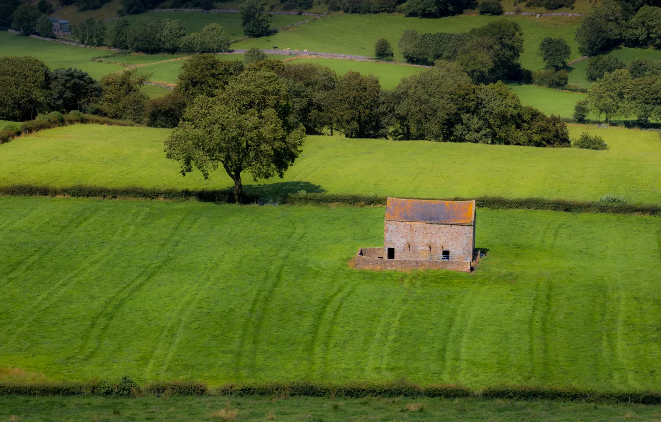 Photo wallpaper greens, field, forest, summer, trees, hills, meadow, house