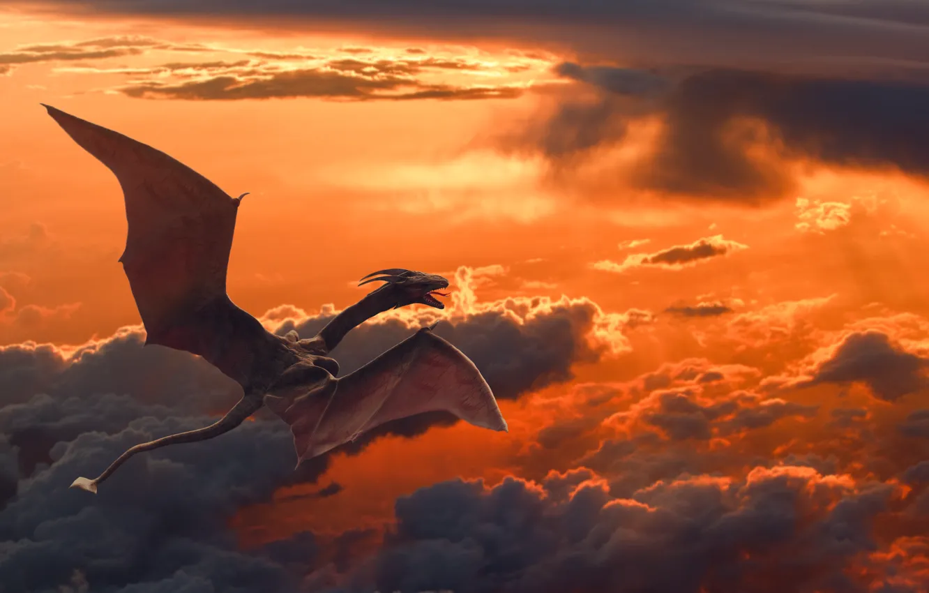 Photo wallpaper landscape, dragon, reptile