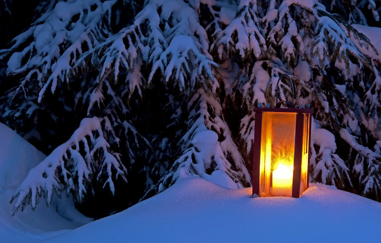 Photo wallpaper winter, light, snow, tree, spruce, lantern, light, winter