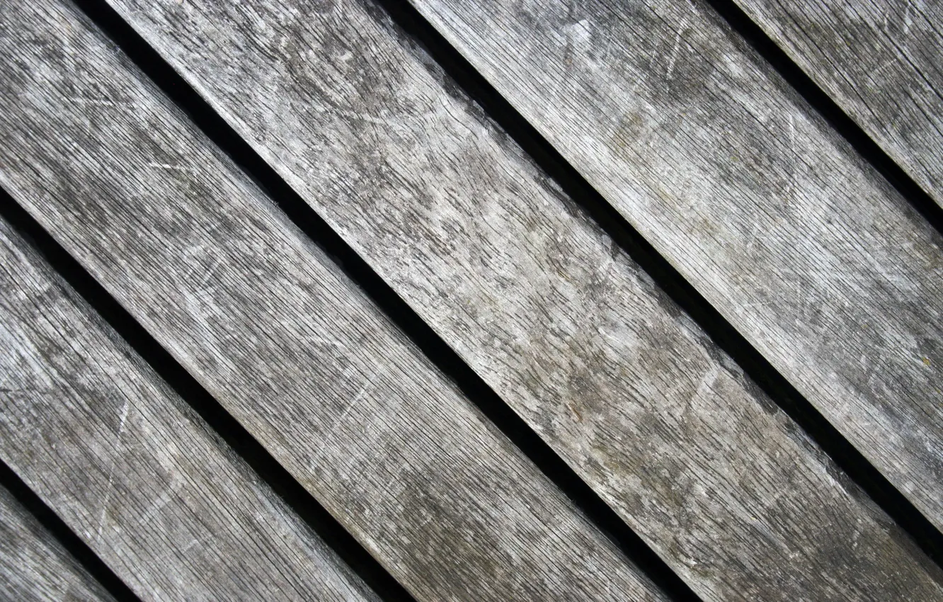 Photo wallpaper tree, Board, texture, Board, texture