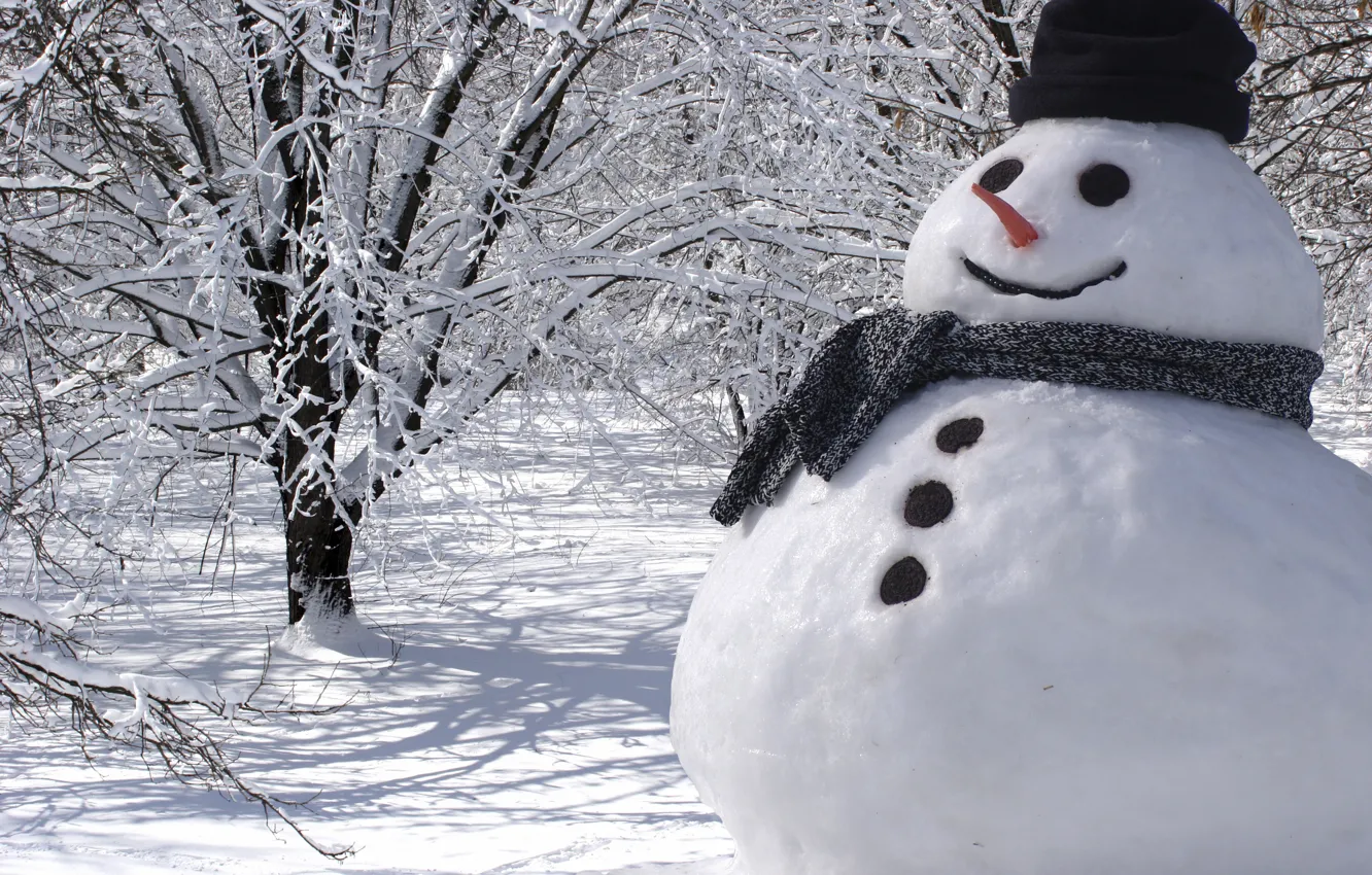 Photo wallpaper snowman, Christmas, winter, snow, snowman