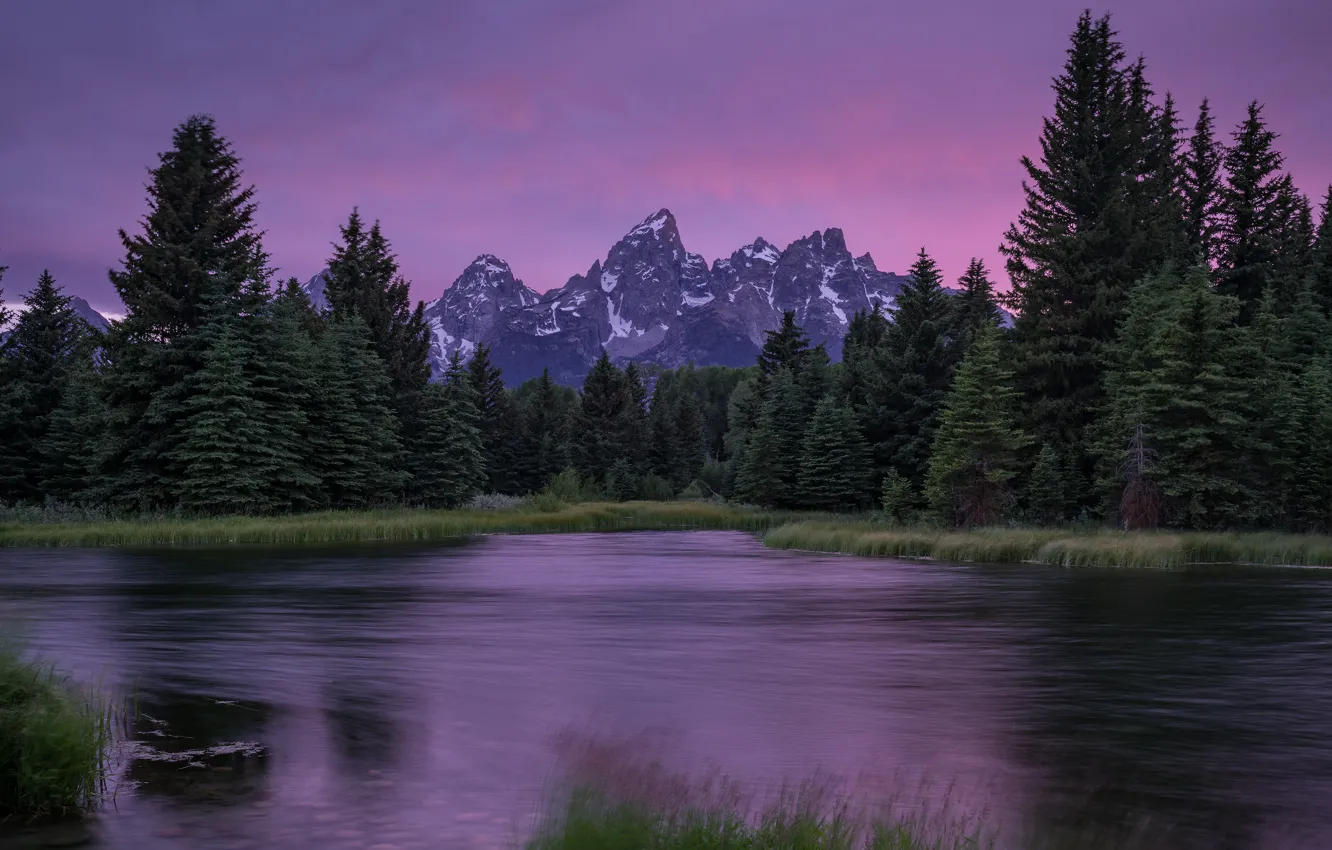 Photo wallpaper forest, the sky, grass, clouds, landscape, sunset, mountains, nature