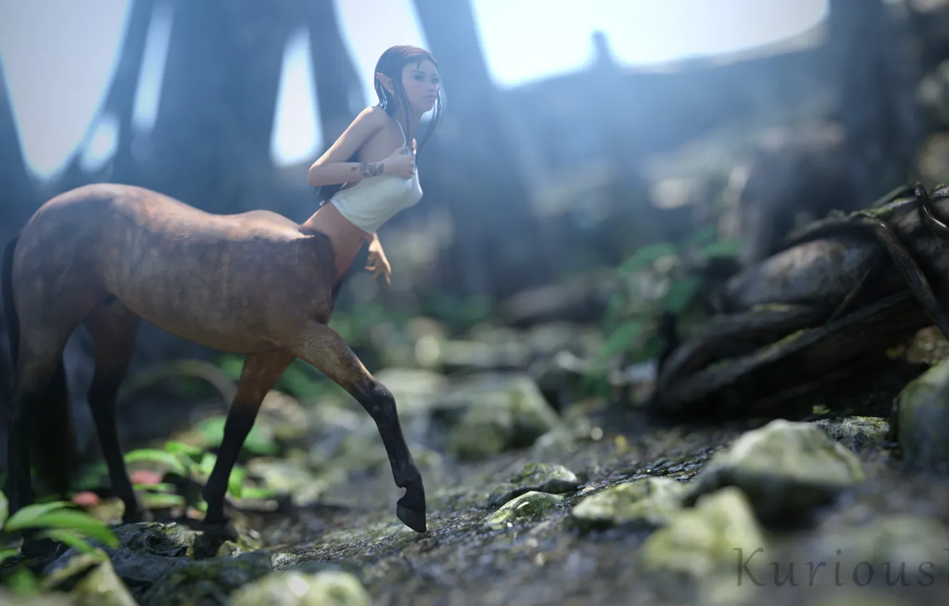 Photo wallpaper fantasy, render, Centaur