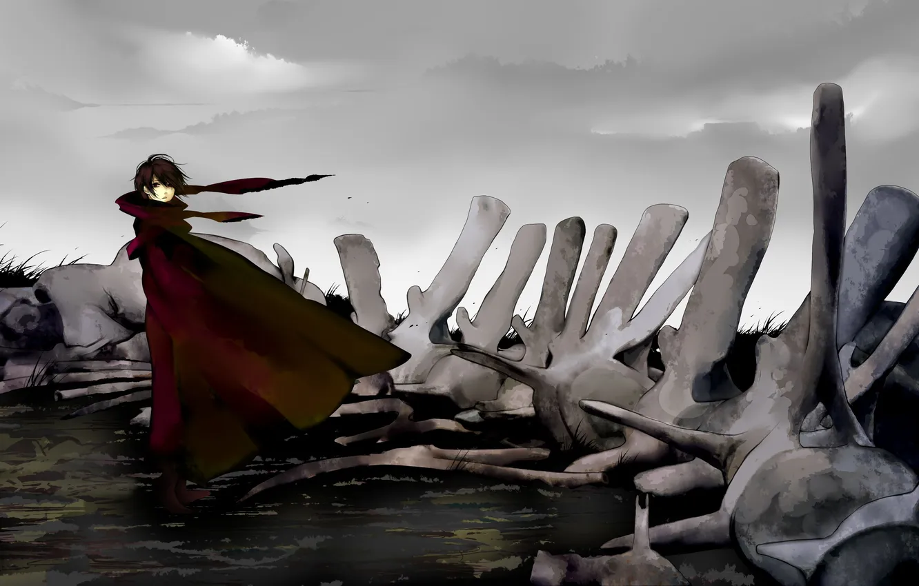 Photo wallpaper boy, skeleton, gloomy, the coat