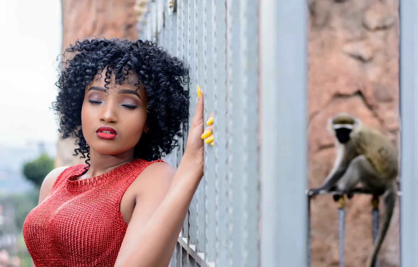 Photo wallpaper sweetheart, grille, African, sexy, monkey, red dress, beautiful girl, big Breasts