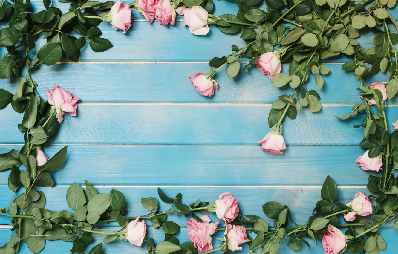 Photo wallpaper flowers, roses, pink, buds, fresh, wood, pink, flowers