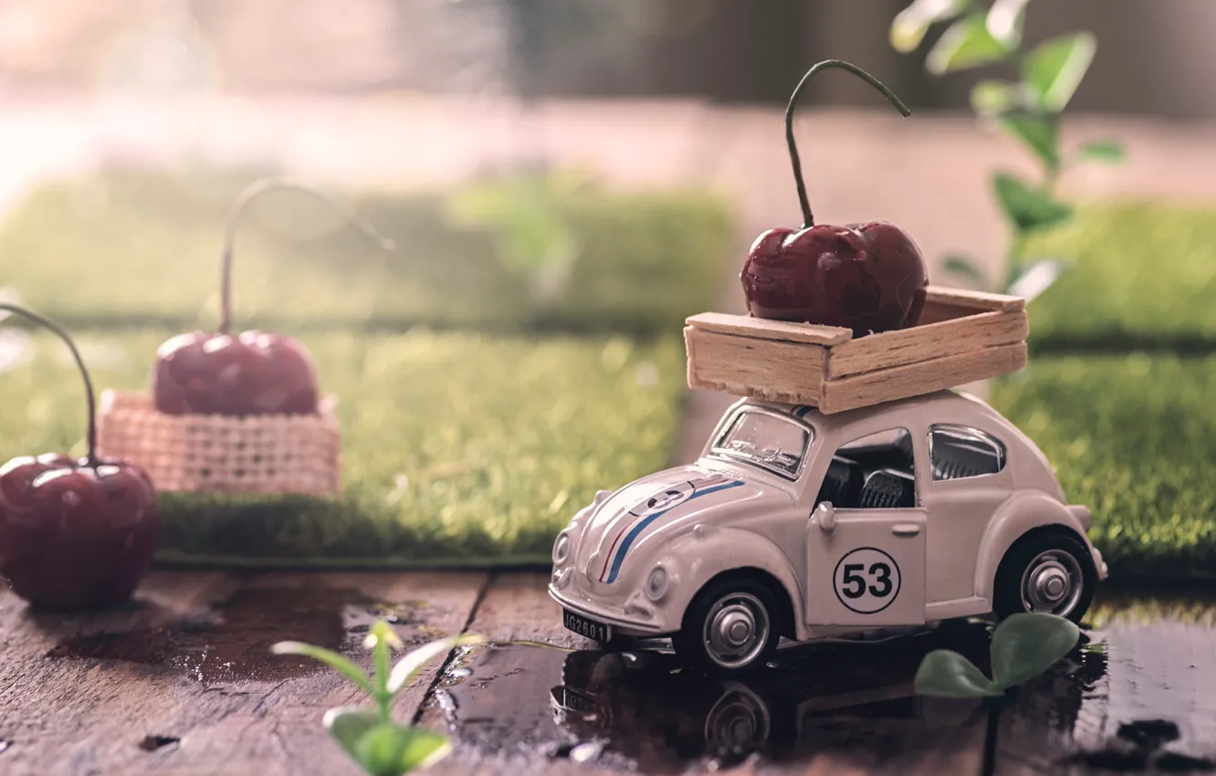 Photo wallpaper water, cherry, berries, toy, Board, puddle, machine