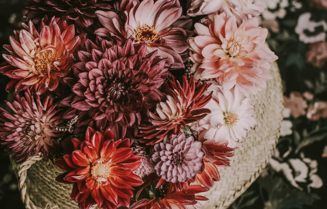 Photo wallpaper flowers, basket, dahlias