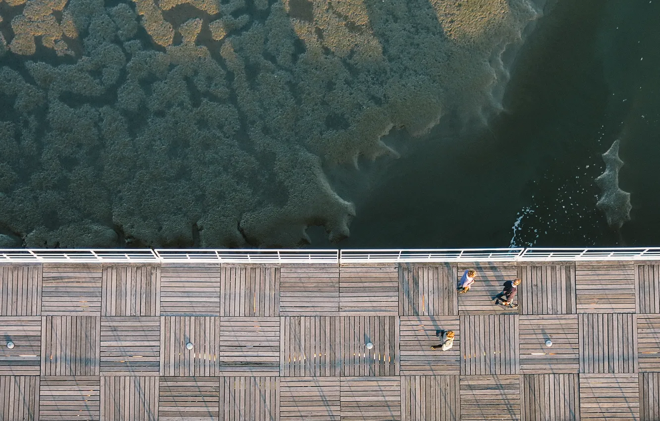 Photo wallpaper Dock, ocean, water, people, bay, height, Above