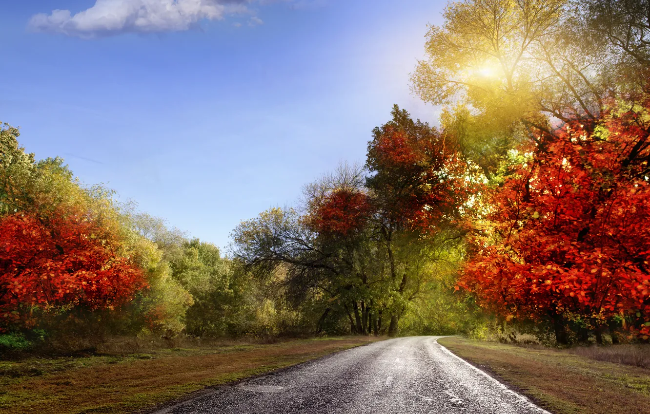 Photo wallpaper road, autumn, the sky, leaves, rays, landscape, nature, colorful