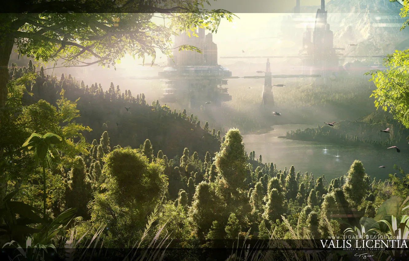 Photo wallpaper forest, nature, the city, planet