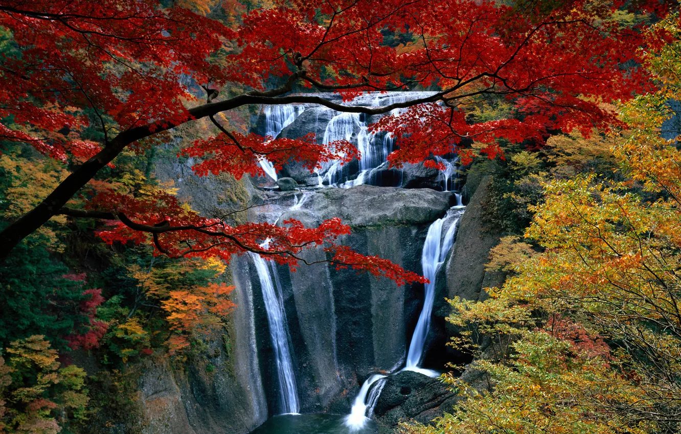 Photo wallpaper autumn, forest, trees, waterfall