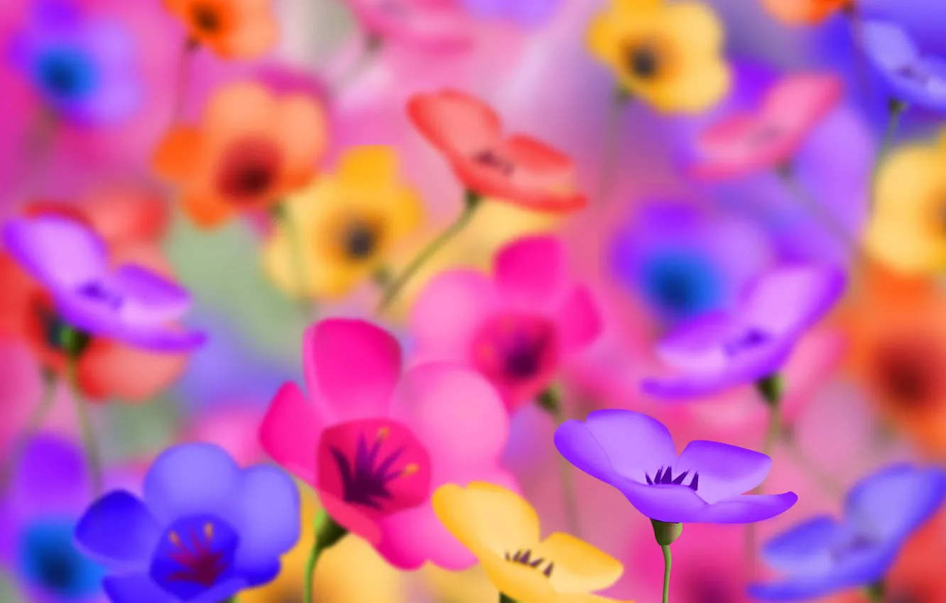 Photo wallpaper color, flowers, brightness