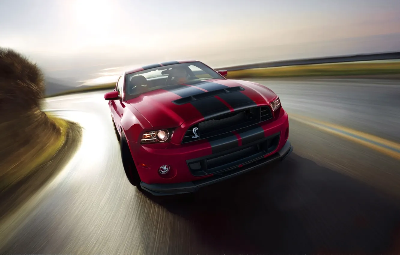 Photo wallpaper Ford, Shelby, GT500, 2014